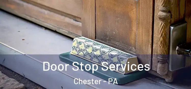  Door Stop Services Chester - PA