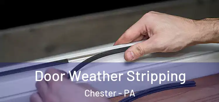  Door Weather Stripping Chester - PA