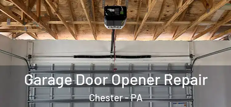  Garage Door Opener Repair Chester - PA