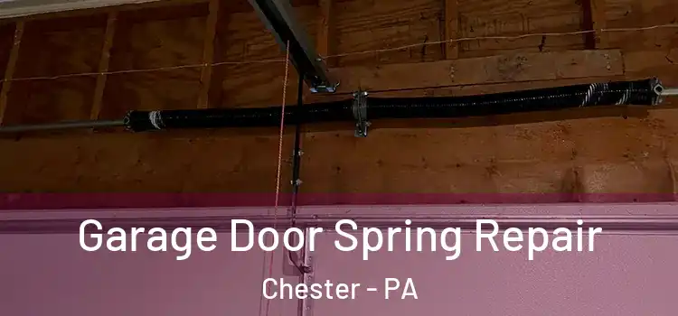  Garage Door Spring Repair Chester - PA