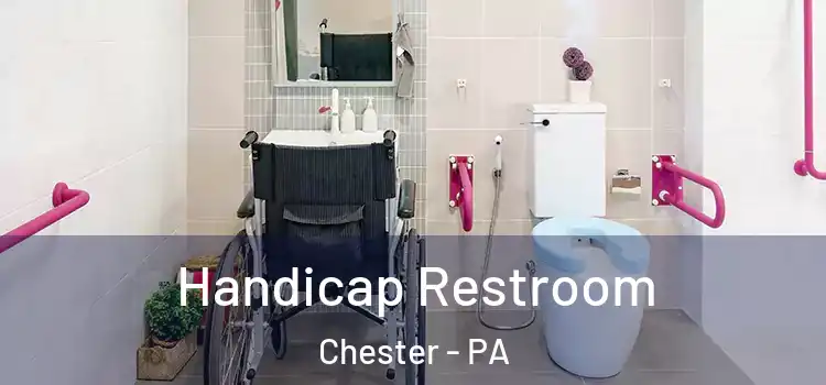  Handicap Restroom Chester - PA