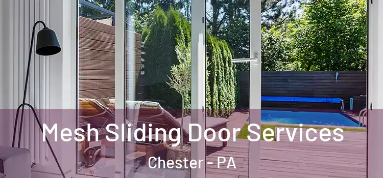 Mesh Sliding Door Services Chester - PA